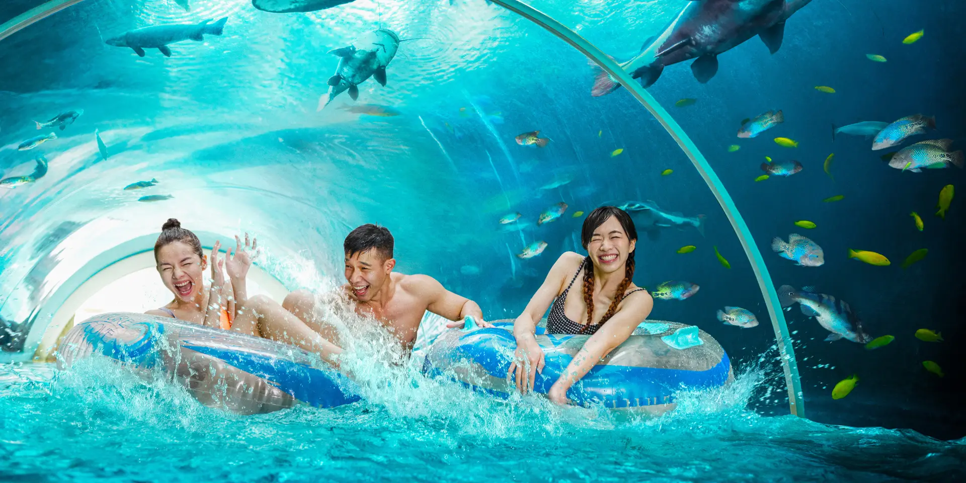 Adventure River - Adventure Cove Waterpark